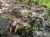 Batuan disekitar situs pertabatan Harya Baribin Suratrunan - Alian, Kebumen