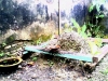 Situs Pamoksan Gajah Mada