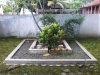 Makam Astrabaya/Madusena di desa Sawangan, Alian - Kebumen