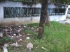Makam Astrabaya/Madusena di desa Sawangan, Alian - Kebumen