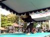 Atraksi Perseorangan Seni Budaya Bela Diri Konto (Pencak Jawa) di Makodim 0709/Kebumen