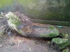 Ukiran motif kepala ular naga jawa pada situs Batu Kalbut di Kec. Ayah - Kebumen, Motif ini juga di temukan di situs Somalangu - kebumen