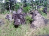 Batu yang diduga kuat sebagai peninggalan megalitik